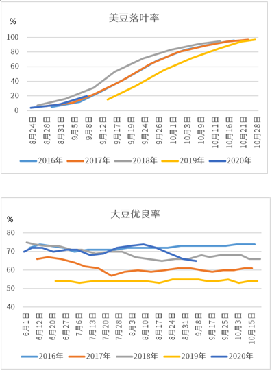 美豆期货最新消息，市场动态、影响因素及未来展望，美豆期货最新动态，市场走势、影响因素与未来展望