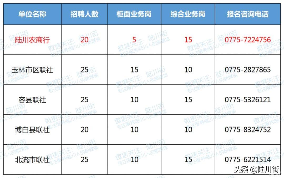 陆川最新招聘信息概览，陆川最新招聘信息全面汇总