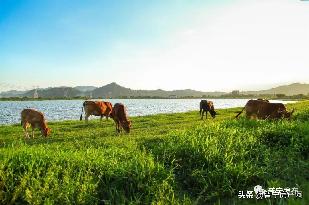 白坑湖最新消息，生态修复与旅游发展的融合进展，白坑湖生态修复与旅游发展融合最新进展揭秘