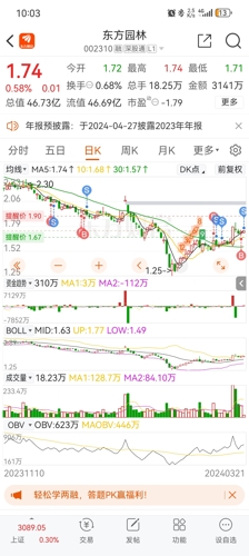 东方园林股票最新消息深度解析，东方园林股票最新消息深度解读与分析