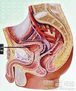 前列腺炎最新治疗技术，打开健康之门的关键，前列腺炎最新治疗技术，健康之门的解锁密钥