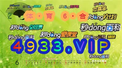 2024新澳门正版精准免费大全,定制化执行方案分析_vShop19.677