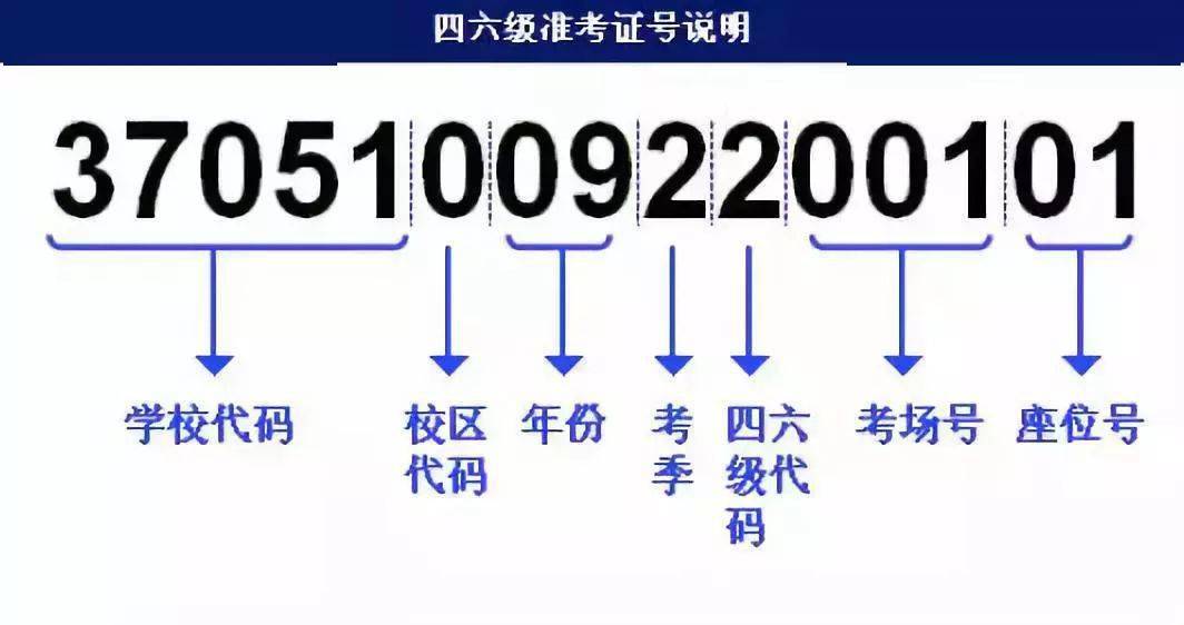 濠江论坛澳门资料2024,实地策略验证计划_特供款82.777