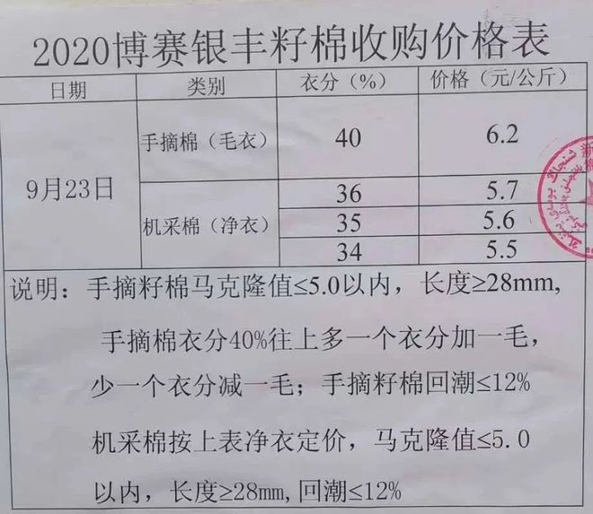 山东籽棉最新收购价格动态分析，山东籽棉最新收购价格动态解析