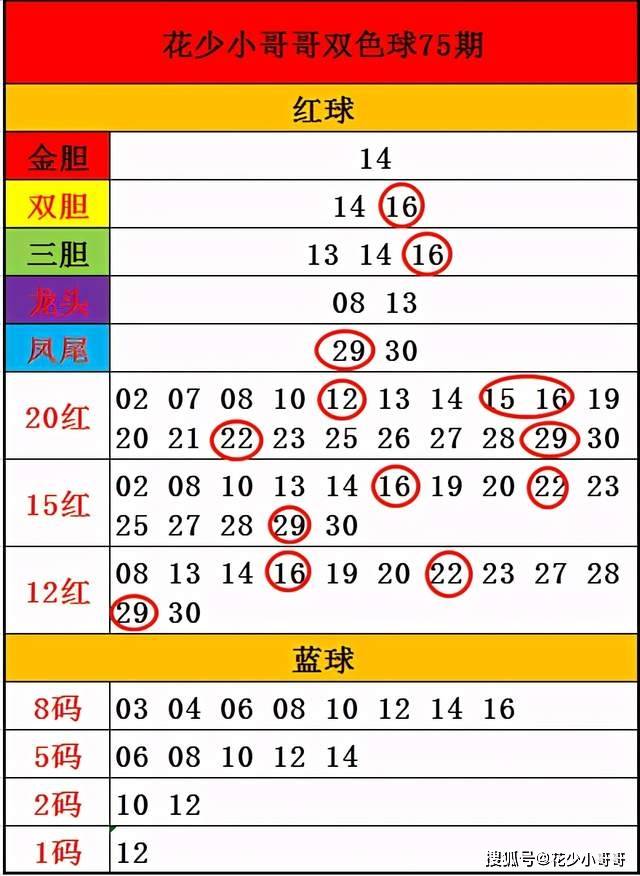 白小姐今晚特马期期准六,适用解析方案_旗舰款63.260