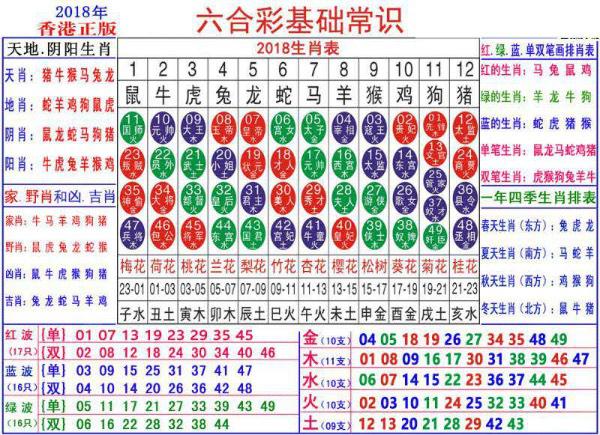 澳门正版资料大全资料生肖卡,专家解析说明_T90.790