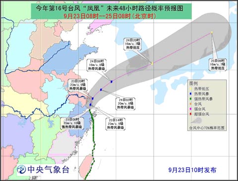 全面解析/解读