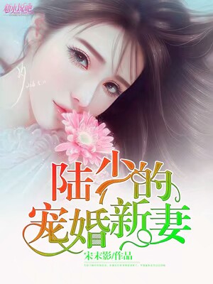 陆少的暖婚新妻全文免费阅读最新，陆少暖婚新妻全文免费阅读最新章节速递