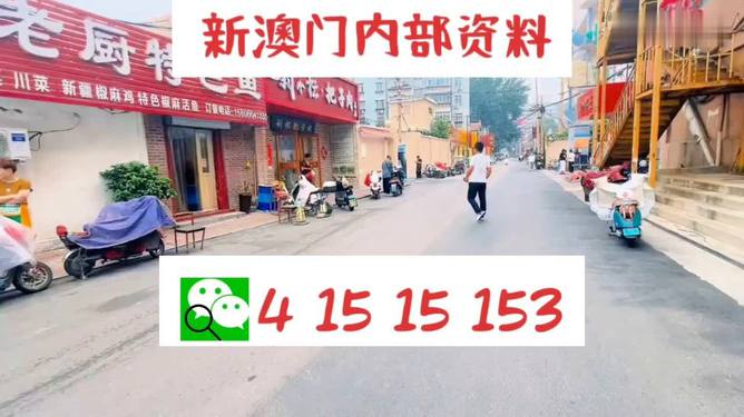 2024澳门天天开好彩大全免费,专业研究解析说明_专业款78.710