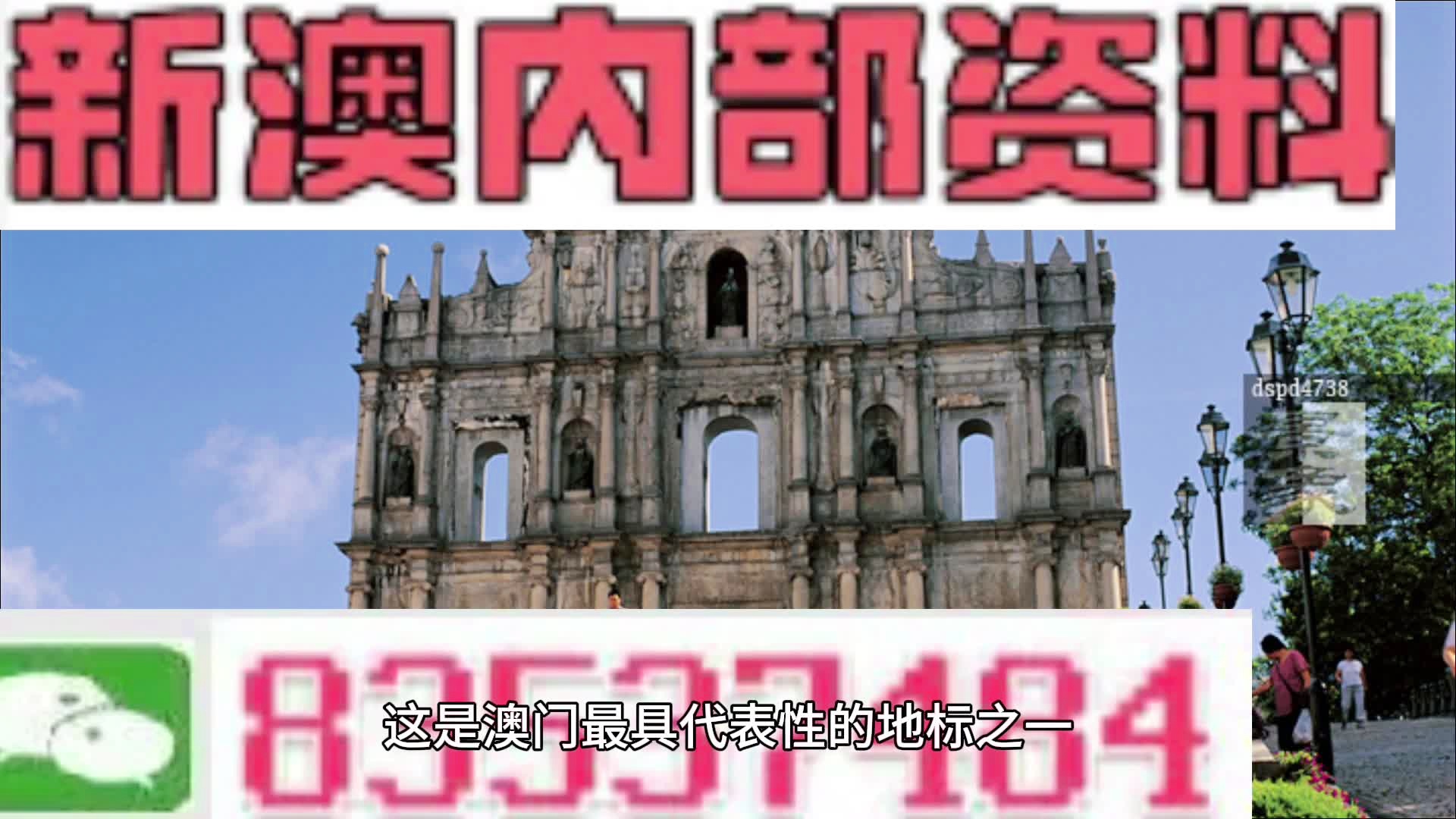 2004年新澳门精准资料,数据驱动方案实施_特别款19.352