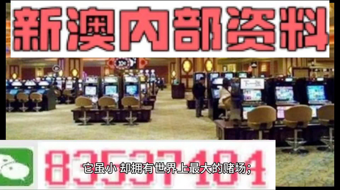 澳门资料大全正版，探索2024年的澳门，澳门正版资料探索与未来展望，警惕犯罪风险