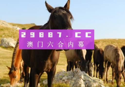 澳门正版49图库资料与犯罪问题探讨，澳门正版49图库资料与犯罪问题的探讨与反思