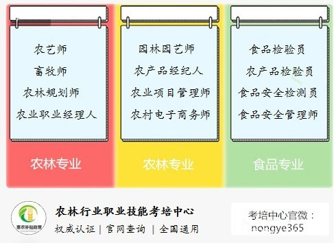 澳门神算子资料免费公开,实践策略实施解析_探索版69.504