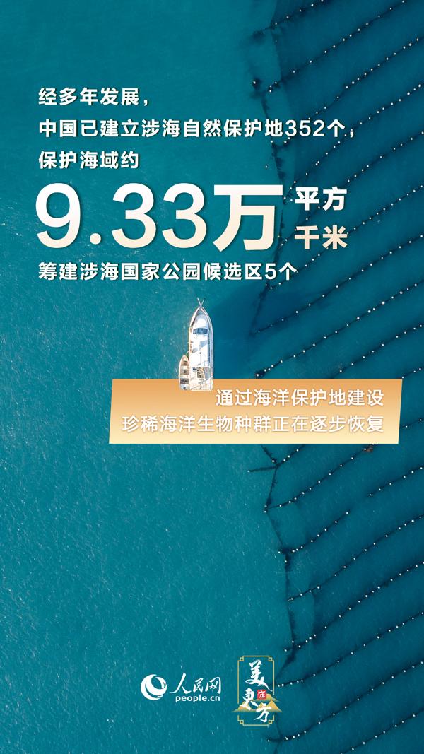 新澳精准资料免费提供510期,精细设计方案_专业版69.239